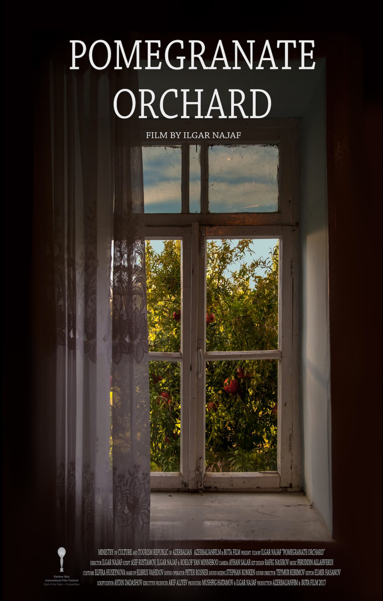Pomegranate Orchard